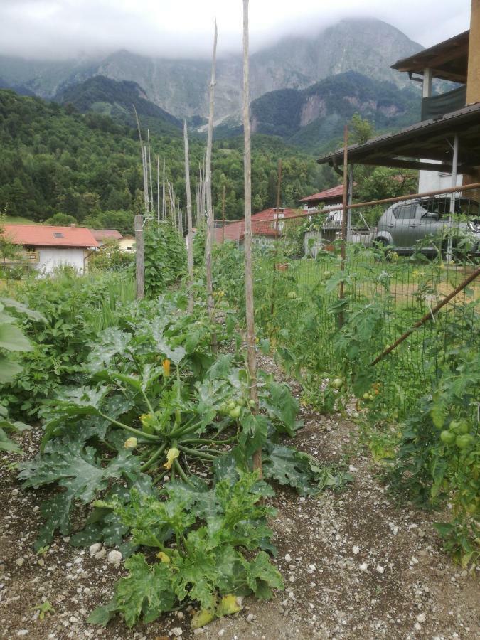 Apartma Vilma โคบาริด ภายนอก รูปภาพ